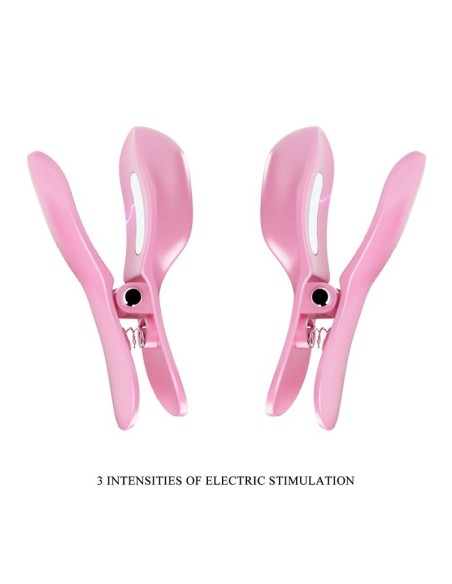 Surprise Box Huevo Vibrador y Pinzas para Pezones con Electro Estimulacion Rosa