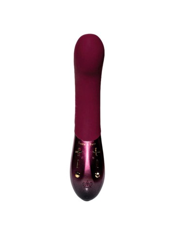 Vibrador de Bajos y Altos 2 Motores Kurve