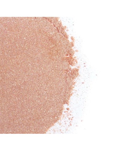 Kit Polvos 100 Comestibles y Plumero Fresas con Cava