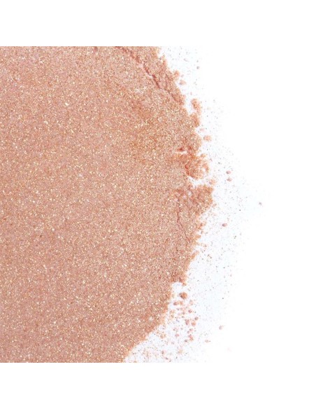 Kit Polvos 100 Comestibles y Plumero Fresas con Cava