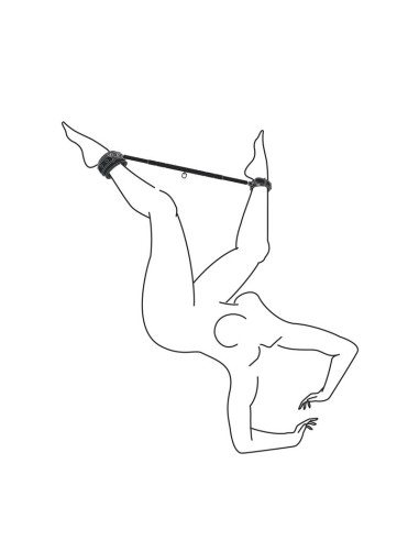 Barra Separadora con Esposas