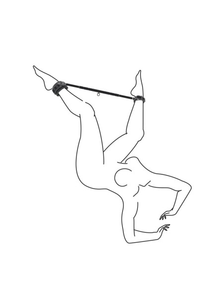 Barra Separadora con Esposas