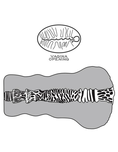 Masturbador Aliens Pie 2