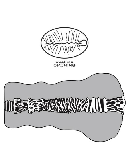 Masturbador Aliens Pie 2