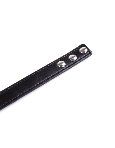 Collar con Aro Ajustable 382 cm Negro