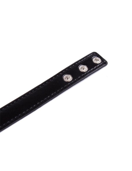 Collar con Aro Ajustable 382 cm Negro