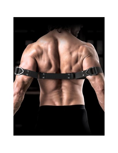 COMMAND by Sir Richards Correas para Biceps