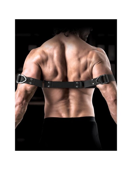 COMMAND by Sir Richards Correas para Biceps