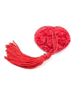 Pezoneras con Encaje y Patron Floral Rojo 2