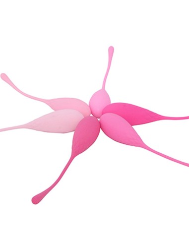 Adalet Kit 6 Bolas Kegel Silicona