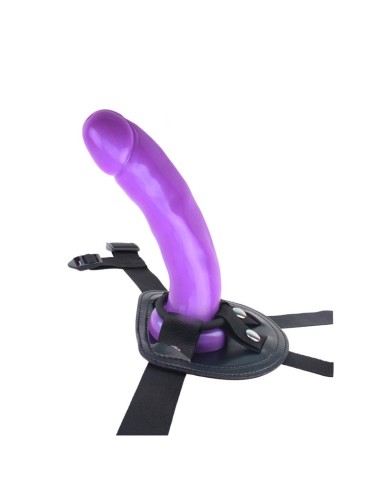 Arnes y Dildo Harness and Probe