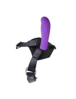 Arnes y Dildo Amor 2