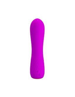 Estimulador Beau USB Purpura 2