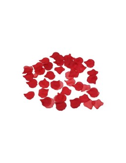 100 Petalos Color Rojo