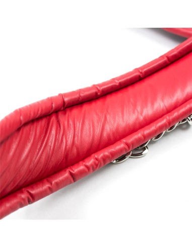 Collar con Correa de Metal e Interior Acolchado Negro Rojo