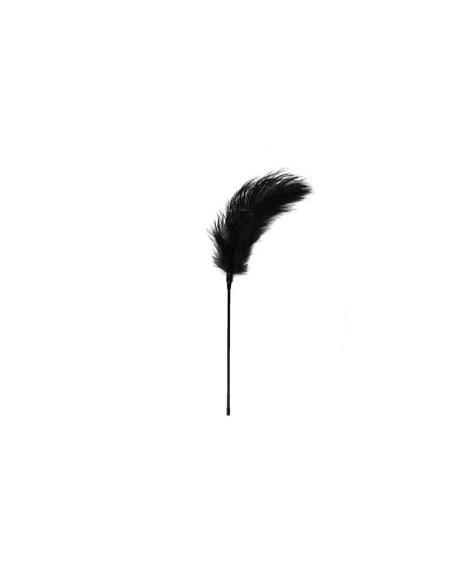 Plumero Negro Largo