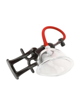 Bomba para Vagina Songs of Pleasure 2