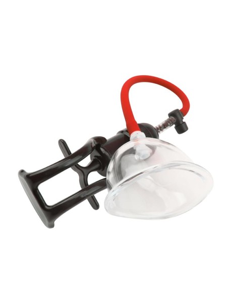 Bomba para Vagina Songs of Pleasure