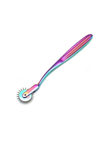 Rueda de Dolor Multicolor 1