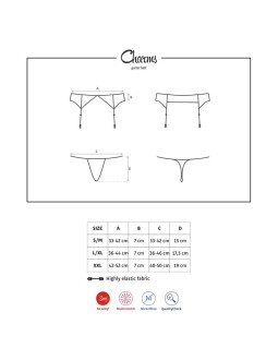 Charms Liguero y Tanga 2