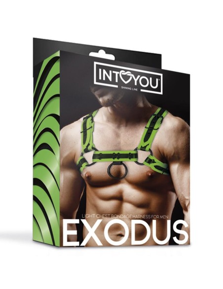 Arnes Bondage para Pecho que Brilla en la Oscuridad