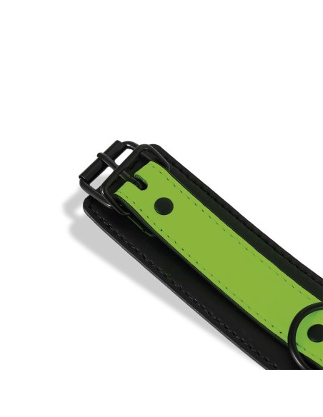 Collar con Correa que Brilla en la Oscuridad