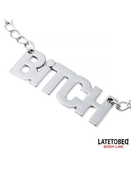 Pinzas para Pezones con Cadena Bitch