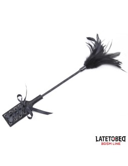 Multi Feathers Tickler and Lace Ribbon Paddle Comb 2