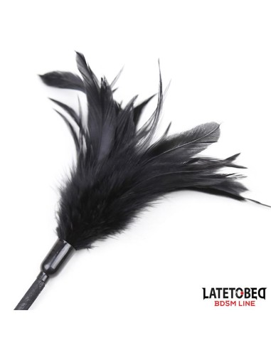 Multi Feathers Tickler and Lace Ribbon Paddle Comb