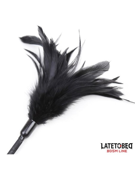 Multi Feathers Tickler and Lace Ribbon Paddle Comb