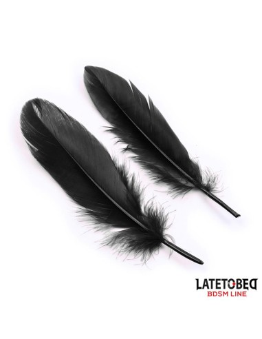 Set de 3 Piezas Antifaz Esposas y Plumas Negro