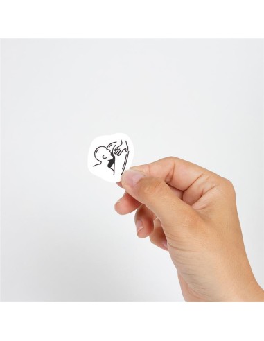 Set de 10 Tattoos Temporales Kinky Collection