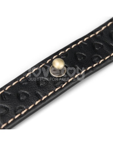 Rebellion Reign Corbata de Collar