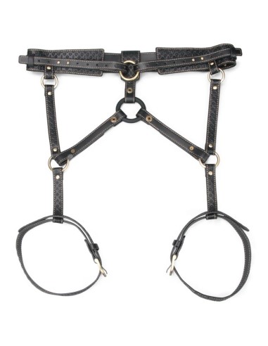 Rebellion Reign Arnes de Cuerpo Entero