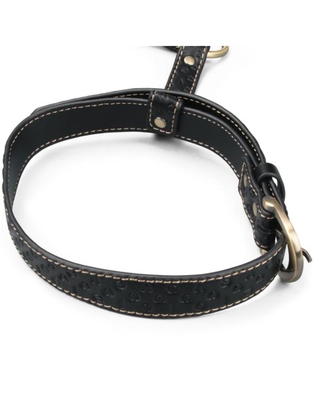 Rebellion Reign Arnes de Cuerpo Entero