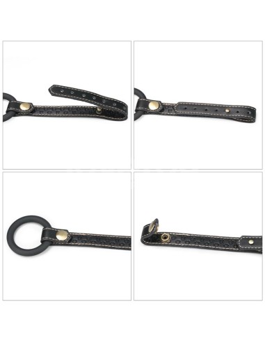 Rebellion Reign Arnes de Cuerpo Entero