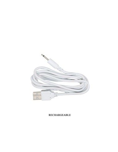 Pretty Love Vibrador a Control Remoto Eden CL40